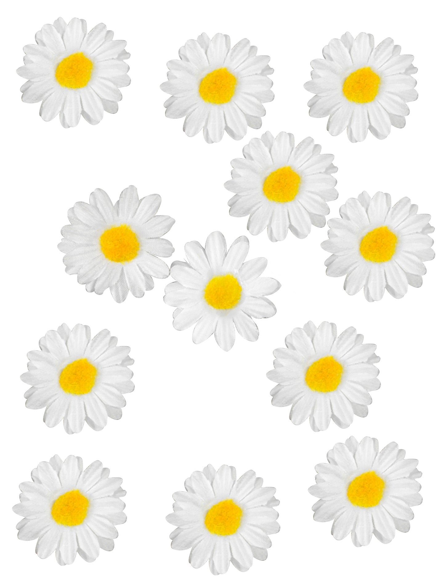 12 Marguerite 3,5 cm Decorații de masă