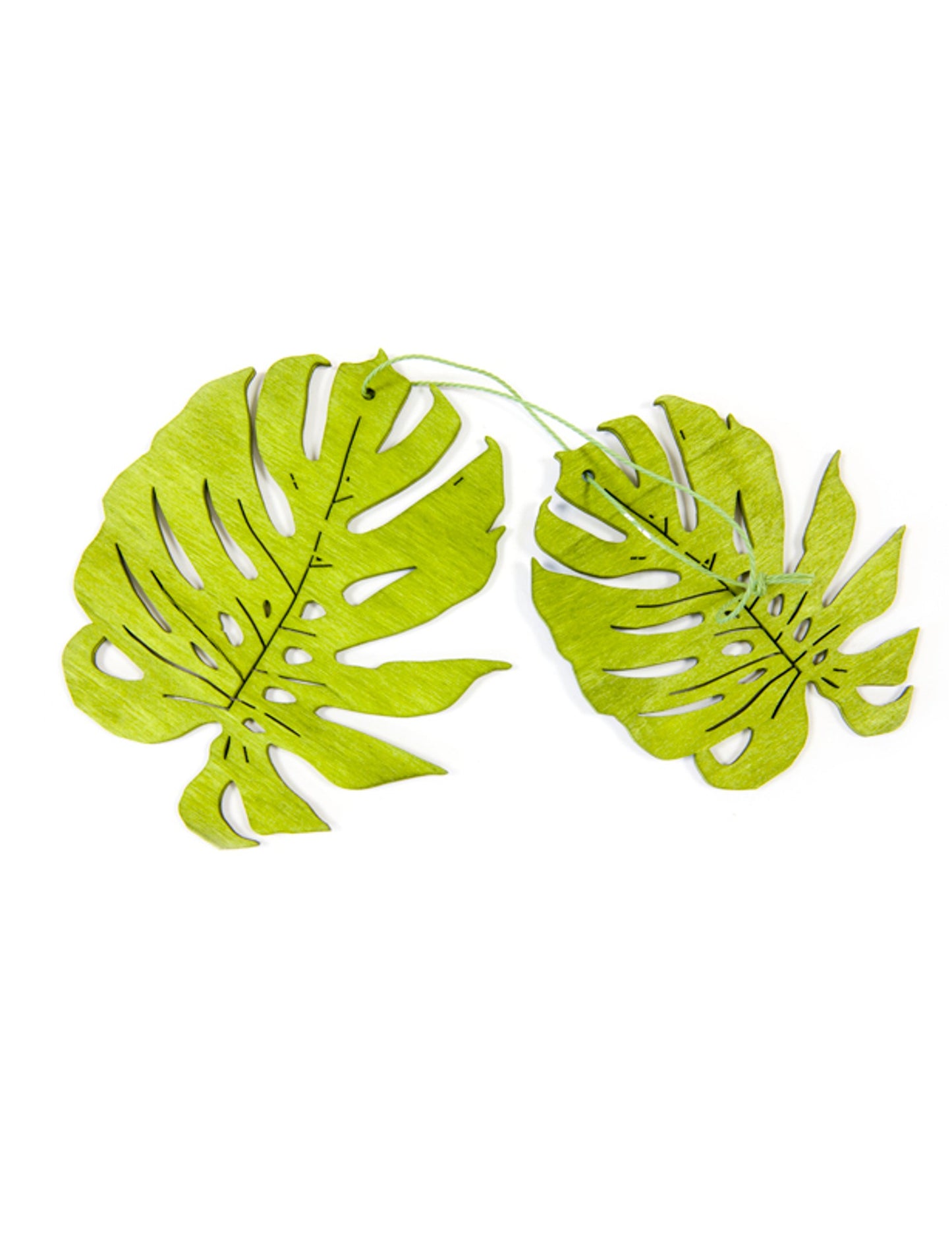 2 frunze de lemn verde tropical 11 cm