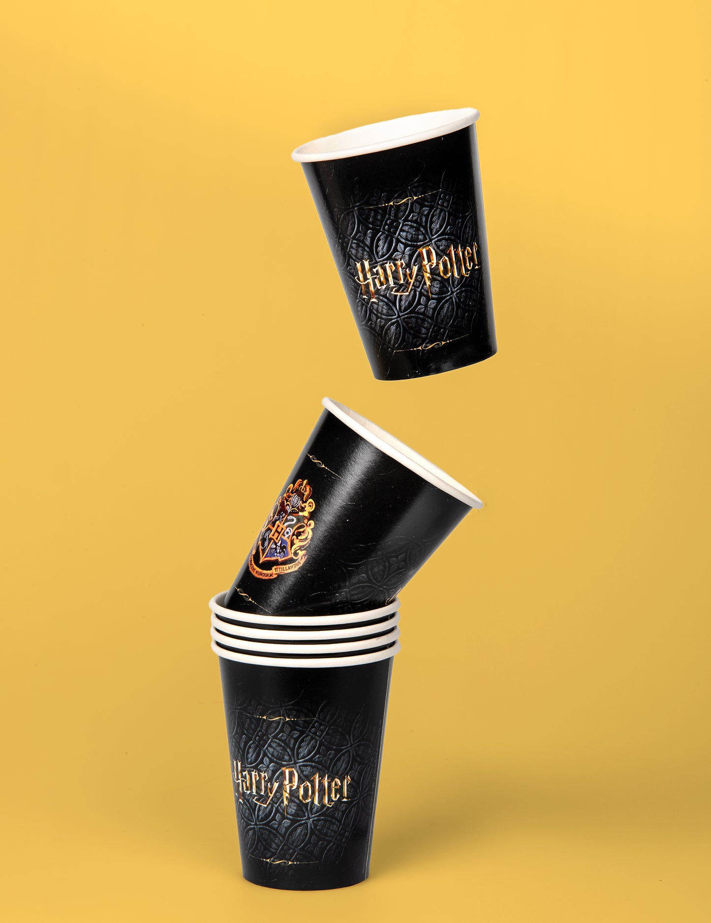 8 căni de carton FSC Harry Potter 210 ml