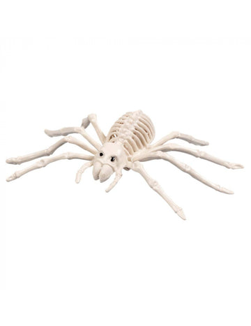 Schelet Spider 35 cm