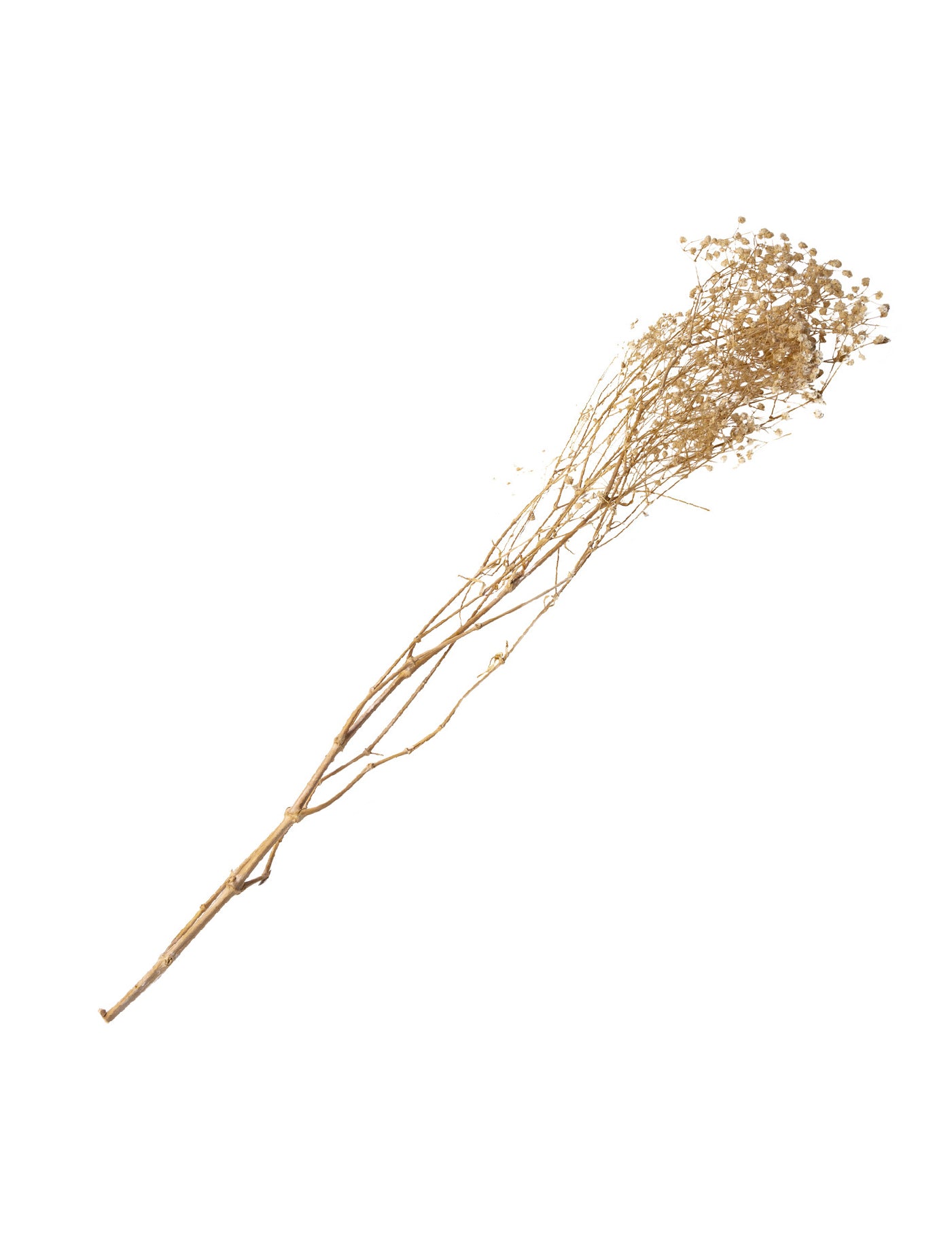 Buchet de gipsfile uscate albe 25 g - 80 cm