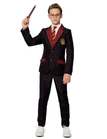 Costum Domnule Gryffindor Copil Suitmeister