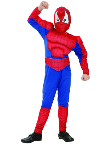 Super Hero Costum Man Spider Boy