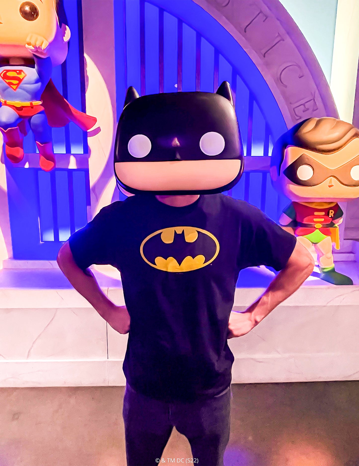 Batman Funko Pop Mask Adult